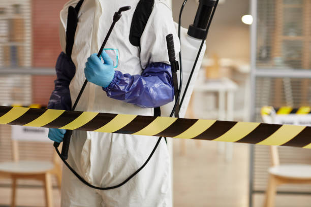 Professional Infectious Disease Decontamination technician working in Grand Island, FL